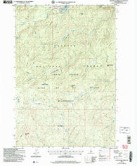 Lodgepole Creek Idaho Historical topographic map, 1:24000 scale, 7.5 X 7.5 Minute, Year 2004