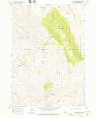 Lone Pine Peak Idaho Historical topographic map, 1:24000 scale, 7.5 X 7.5 Minute, Year 1963