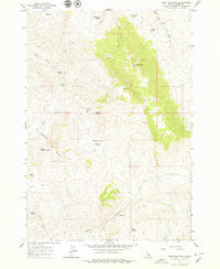 Lone Pine Peak Idaho Historical topographic map, 1:24000 scale, 7.5 X 7.5 Minute, Year 1963