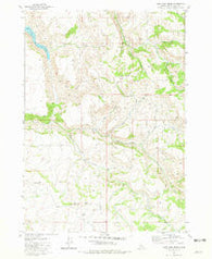 Lone Pine Ridge Idaho Historical topographic map, 1:24000 scale, 7.5 X 7.5 Minute, Year 1981