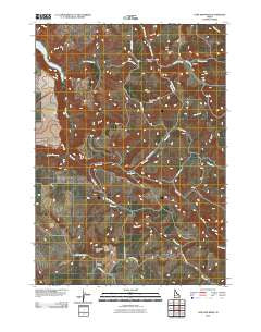 Lone Pine Ridge Idaho Historical topographic map, 1:24000 scale, 7.5 X 7.5 Minute, Year 2010