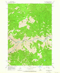 Long Tom Mtn Idaho Historical topographic map, 1:24000 scale, 7.5 X 7.5 Minute, Year 1962