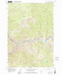 Long Tom Mtn Idaho Historical topographic map, 1:24000 scale, 7.5 X 7.5 Minute, Year 1962