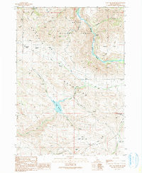 Long Tom Reservoir Idaho Historical topographic map, 1:24000 scale, 7.5 X 7.5 Minute, Year 1990