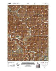 Long Gulch Idaho Historical topographic map, 1:24000 scale, 7.5 X 7.5 Minute, Year 2011