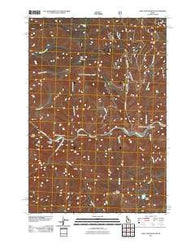 Long Tom Mountain Idaho Historical topographic map, 1:24000 scale, 7.5 X 7.5 Minute, Year 2011