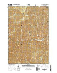 Long Tom Mountain Idaho Current topographic map, 1:24000 scale, 7.5 X 7.5 Minute, Year 2013
