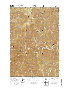 Long Tom Mountain Idaho Current topographic map, 1:24000 scale, 7.5 X 7.5 Minute, Year 2013