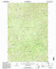 Lookout Peak Idaho Historical topographic map, 1:24000 scale, 7.5 X 7.5 Minute, Year 1994