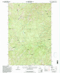 Lookout Peak Idaho Historical topographic map, 1:24000 scale, 7.5 X 7.5 Minute, Year 1994