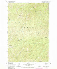 Lookout Peak Idaho Historical topographic map, 1:24000 scale, 7.5 X 7.5 Minute, Year 1965