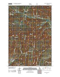 Lookout Point Idaho Historical topographic map, 1:24000 scale, 7.5 X 7.5 Minute, Year 2011