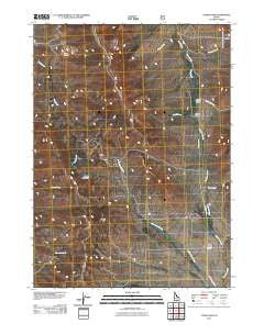 Lyman Pass Idaho Historical topographic map, 1:24000 scale, 7.5 X 7.5 Minute, Year 2011