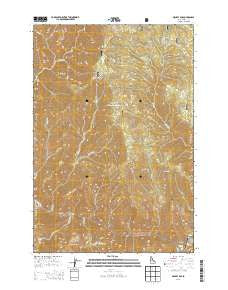 Mackay Bar Idaho Current topographic map, 1:24000 scale, 7.5 X 7.5 Minute, Year 2013