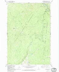 Magruder Mountain Idaho Historical topographic map, 1:24000 scale, 7.5 X 7.5 Minute, Year 1991