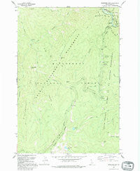 Magruder Mountain Idaho Historical topographic map, 1:24000 scale, 7.5 X 7.5 Minute, Year 1991