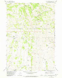 Mahogany Butte Idaho Historical topographic map, 1:24000 scale, 7.5 X 7.5 Minute, Year 1977