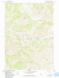 Mahoney Butte Idaho Historical topographic map, 1:24000 scale, 7.5 X 7.5 Minute, Year 1967