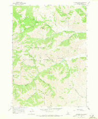 Mahoney Butte Idaho Historical topographic map, 1:24000 scale, 7.5 X 7.5 Minute, Year 1967