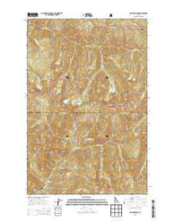 Mallard Peak Idaho Current topographic map, 1:24000 scale, 7.5 X 7.5 Minute, Year 2013