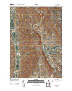 Mann Creek SE Idaho Historical topographic map, 1:24000 scale, 7.5 X 7.5 Minute, Year 2010