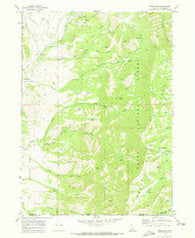 Mapleton Idaho Historical topographic map, 1:24000 scale, 7.5 X 7.5 Minute, Year 1969