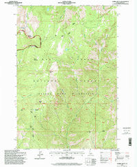 Marble Butte Idaho Historical topographic map, 1:24000 scale, 7.5 X 7.5 Minute, Year 1995
