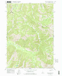 Marshall Peak Idaho Historical topographic map, 1:24000 scale, 7.5 X 7.5 Minute, Year 1964