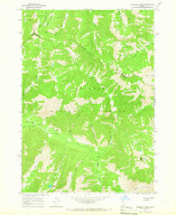 Marshall Peak Idaho Historical topographic map, 1:24000 scale, 7.5 X 7.5 Minute, Year 1964