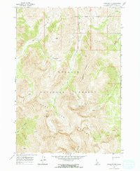 Massacre Mtn Idaho Historical topographic map, 1:24000 scale, 7.5 X 7.5 Minute, Year 1967