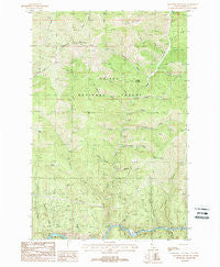 Mastodon Mountain Idaho Historical topographic map, 1:24000 scale, 7.5 X 7.5 Minute, Year 1988