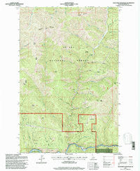 Mastodon Mountain Idaho Historical topographic map, 1:24000 scale, 7.5 X 7.5 Minute, Year 1995