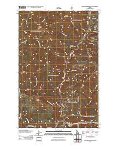 Mastodon Mountain Idaho Historical topographic map, 1:24000 scale, 7.5 X 7.5 Minute, Year 2011