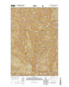 Mastodon Mountain Idaho Current topographic map, 1:24000 scale, 7.5 X 7.5 Minute, Year 2013