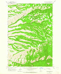 McKinzie Creek Idaho Historical topographic map, 1:24000 scale, 7.5 X 7.5 Minute, Year 1963