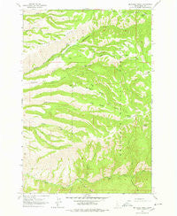 McKinzie Creek Idaho Historical topographic map, 1:24000 scale, 7.5 X 7.5 Minute, Year 1963