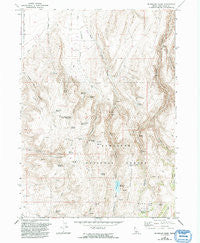 McMullen Basin Idaho Historical topographic map, 1:24000 scale, 7.5 X 7.5 Minute, Year 1965