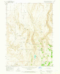 Mc Mullen Basin Idaho Historical topographic map, 1:24000 scale, 7.5 X 7.5 Minute, Year 1965