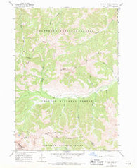 Meridian Peak Idaho Historical topographic map, 1:24000 scale, 7.5 X 7.5 Minute, Year 1967
