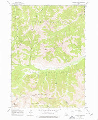 Meridian Peak Idaho Historical topographic map, 1:24000 scale, 7.5 X 7.5 Minute, Year 1967
