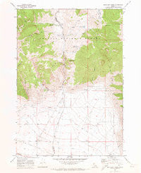 Methodist Creek Idaho Historical topographic map, 1:24000 scale, 7.5 X 7.5 Minute, Year 1969