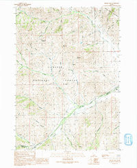 Miller Peak Idaho Historical topographic map, 1:24000 scale, 7.5 X 7.5 Minute, Year 1991