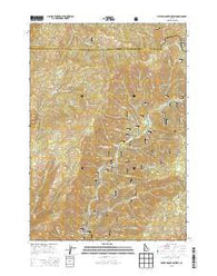 Miller Mountain West Idaho Current topographic map, 1:24000 scale, 7.5 X 7.5 Minute, Year 2013