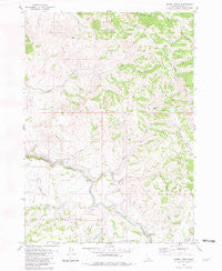 Miner Creek Idaho Historical topographic map, 1:24000 scale, 7.5 X 7.5 Minute, Year 1981