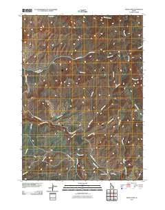 Miner Creek Idaho Historical topographic map, 1:24000 scale, 7.5 X 7.5 Minute, Year 2010