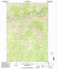 Mink Peak Idaho Historical topographic map, 1:24000 scale, 7.5 X 7.5 Minute, Year 1995