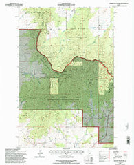 Mission Mountain Idaho Historical topographic map, 1:24000 scale, 7.5 X 7.5 Minute, Year 1994