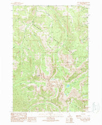 Mogg Mountain Idaho Historical topographic map, 1:24000 scale, 7.5 X 7.5 Minute, Year 1989