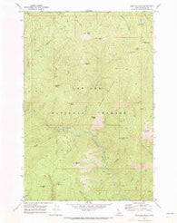 Montana Peak Idaho Historical topographic map, 1:24000 scale, 7.5 X 7.5 Minute, Year 1969