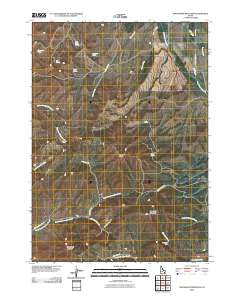 Moonlight Mountain Idaho Historical topographic map, 1:24000 scale, 7.5 X 7.5 Minute, Year 2010